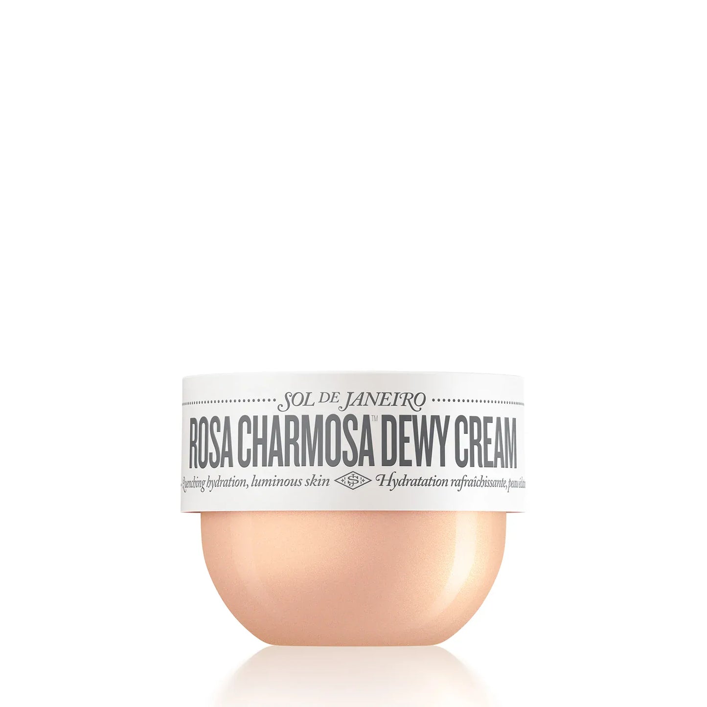 Rosa Charmosa™ Dewy Cream
